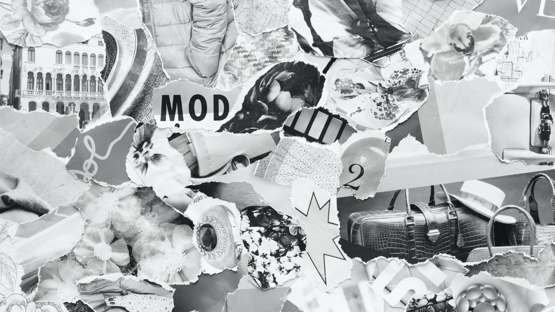 Untitled design (3)